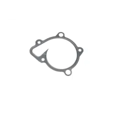 Прокладка помпи води Hyundai Fanta Fe 2.4 10-12/Kia Sportage 2.0 CVVT 10-