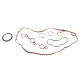 Комплект прокладок (нижній) Citroen C1/C3/C4/Peugeot 108/2008/208/301/308 1.0/1.2 VTi 12-