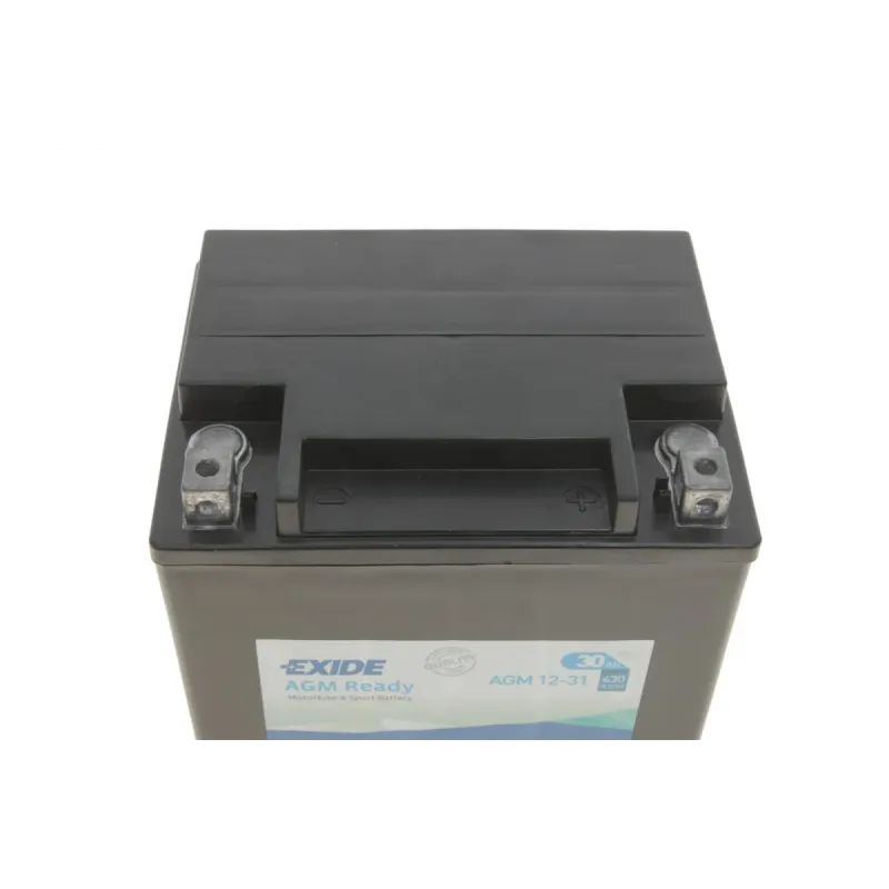 Акумулятор AGM EXIDE AGM12-31 (30Ah/430A) для мотоциклів BMW R 100/7, R 75/5, R 60/6