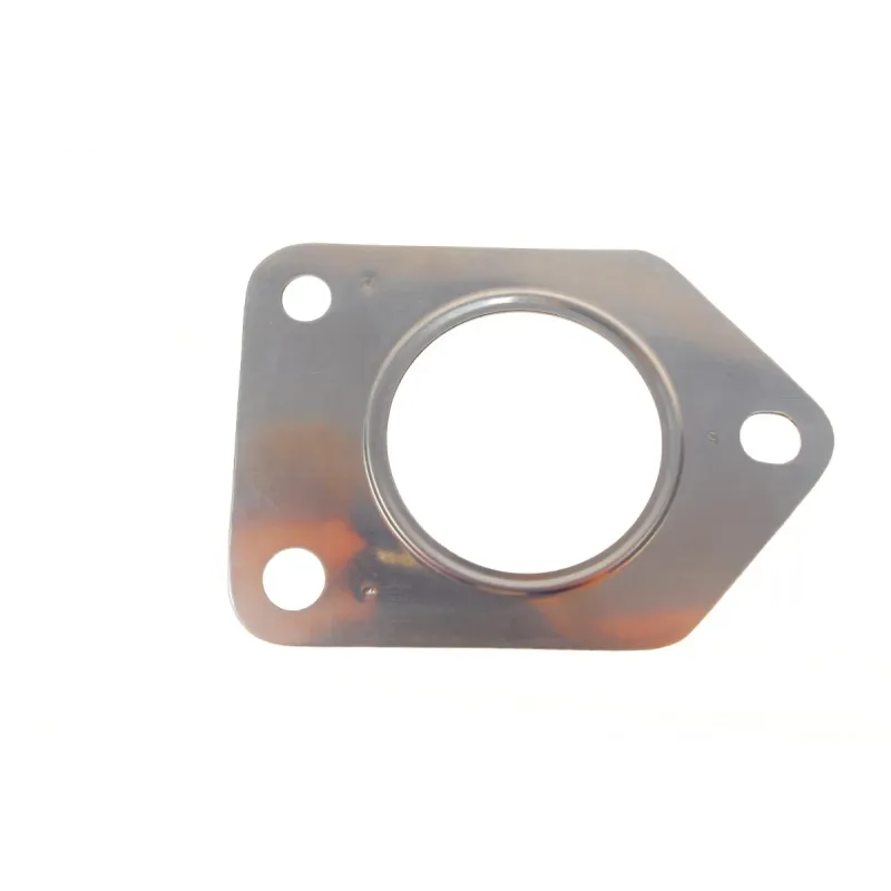 Прокладка турбіни BMW X3 (F25) 07-14 (трубка на злив масла)