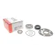 Підшипник маточини задній FAG 713 6184 00 для Toyota Hilux Vigo 2005-, Dyna 2006-