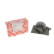 Подушка двигуна (передня) (R) Nissan X-Trail 2.0/2.5 16V 01-13
