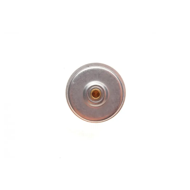 Термостат FEBI BILSTEIN 173096 для Citroen C5 III, C6, Peugeot 407 2.7/3.0 HDi 88°C