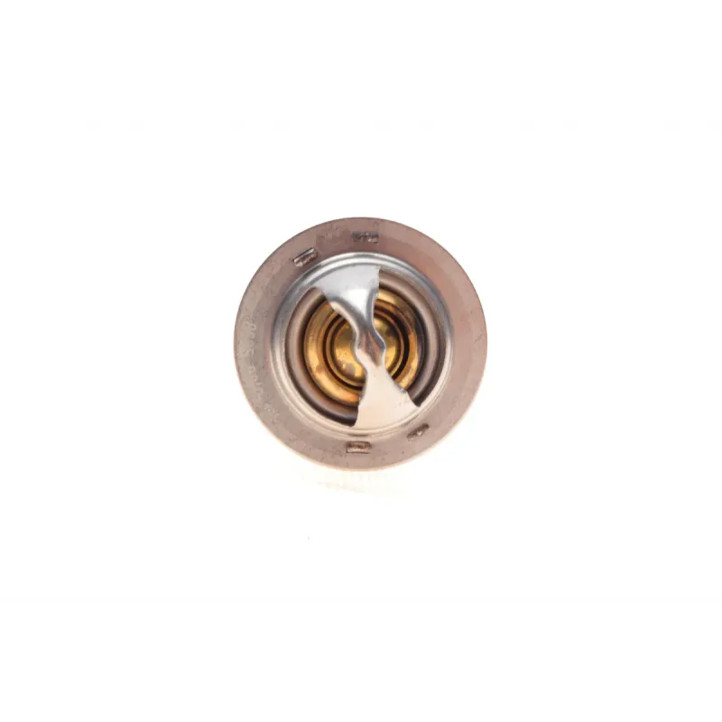 Термостат FEBI BILSTEIN 173096 для Citroen C5 III, C6, Peugeot 407 2.7/3.0 HDi 88°C