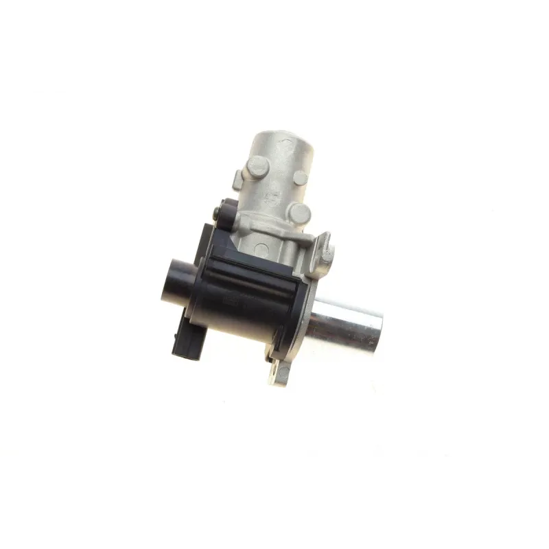 Клапан EGR Renault Modus/Megane II/Dacia Logan 1.5 dCi 05-