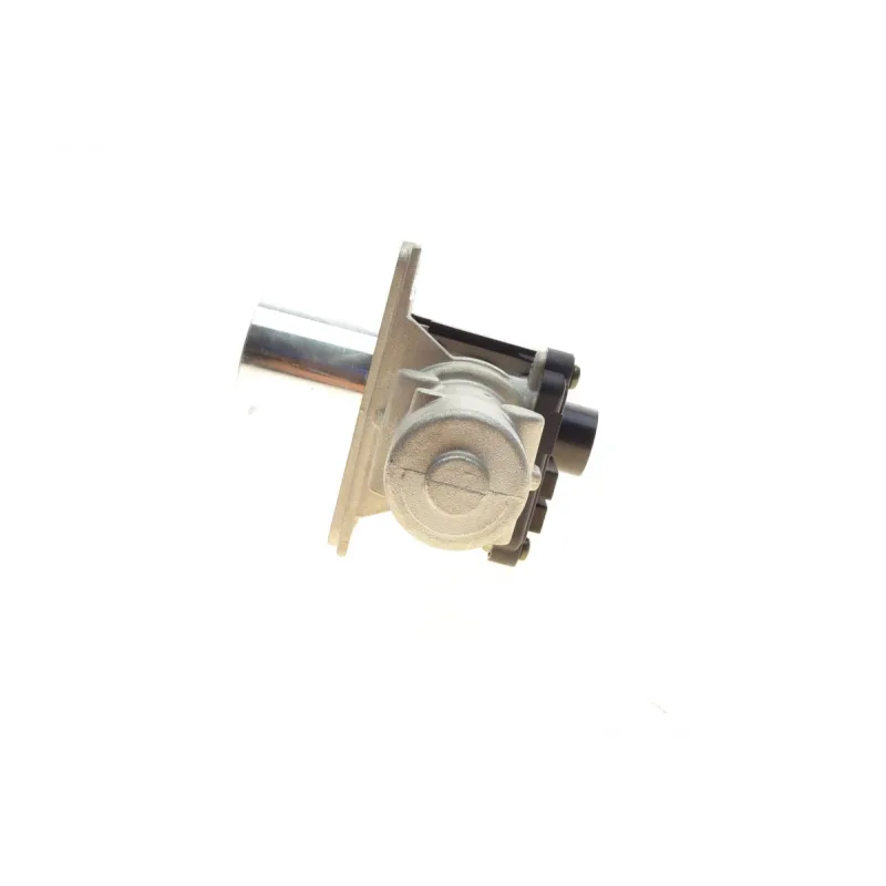 Клапан EGR Renault Modus/Megane II/Dacia Logan 1.5 dCi 05-