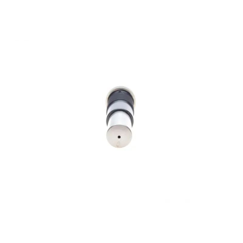 Натяжник ланцюга ГРМ FEBI BILSTEIN 174658 для Iveco Daily IV 65C14 G 2007-