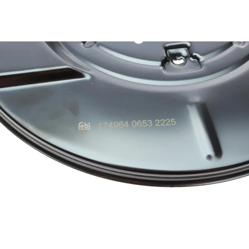 Захист диска гальмівного (заднього) (L) BMW X5 (E53) 00-06