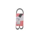 Ремінь генератора FEBI BILSTEIN 179891 для BMW 3 (G20) 330d 2020-, 8PK1122