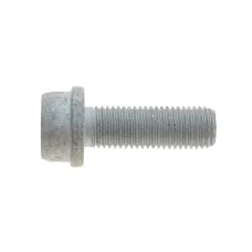 Болт кріплення скоби супорта (заднього) VW Golf IV 98-06 (M10x1.25x30)