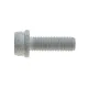 Болт кріплення скоби супорта (заднього) VW Golf IV 98-06 (M10x1.25x30)