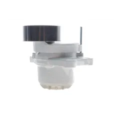 Натяжник ременя генератора Citroen C4/C5/Peugeot Expert 2.0 HDi 09-