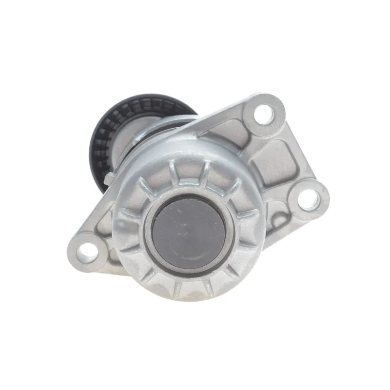 Натяжник ременя генератора Citroen C4/C5/Peugeot Expert 2.0 HDi 09-