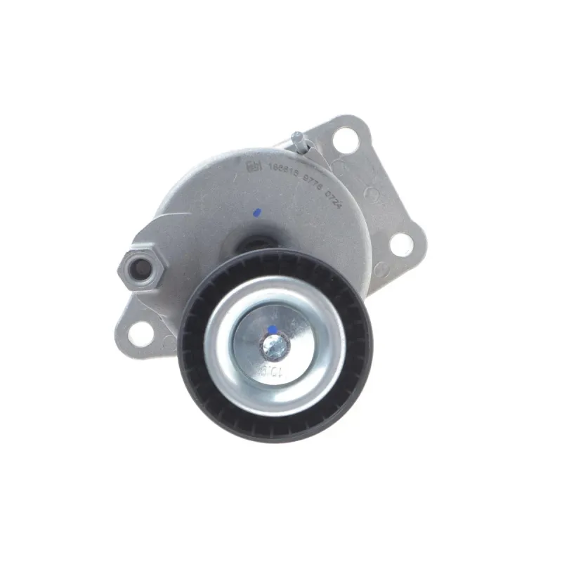 Натяжник ременя генератора Citroen C4/C5/Peugeot Expert 2.0 HDi 09-