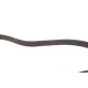 Ремінь генератора FEBI BILSTEIN 188463 для BMW 3 (G20) 2.0D B47 1157 мм