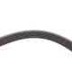 Ремінь генератора Audi A4/ A6/ VW Passat 1.9 TDI 95-01 (5PK1590)