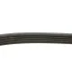 Ремінь генератора FEBI BILSTEIN 28933 (6PK1200) для Renault Kangoo 1.5 dCi, BMW 3 G20, Citroen C5 III