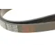 Ремінь генератора FEBI BILSTEIN 28933 (6PK1200) для Renault Kangoo 1.5 dCi, BMW 3 G20, Citroen C5 III