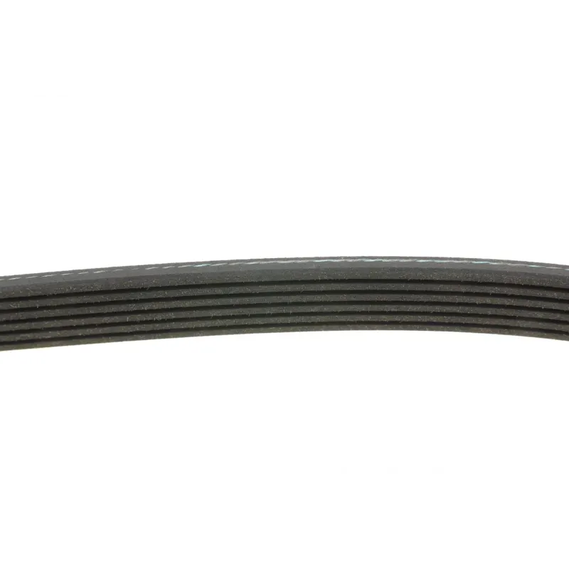 Ремінь генератора Citroen Berlingo/Fiat Scudo 1.9D 98-06 (6PK1437)