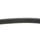 Ремінь генератора Citroen Berlingo/Fiat Scudo 1.9D 98-06 (6PK1437)