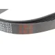 Ремінь генератора FEBI BILSTEIN 28986 (6PK1873) для Audi A4/A6, BMW 3 (E46/E90/E92), VW Polo, 1873 мм