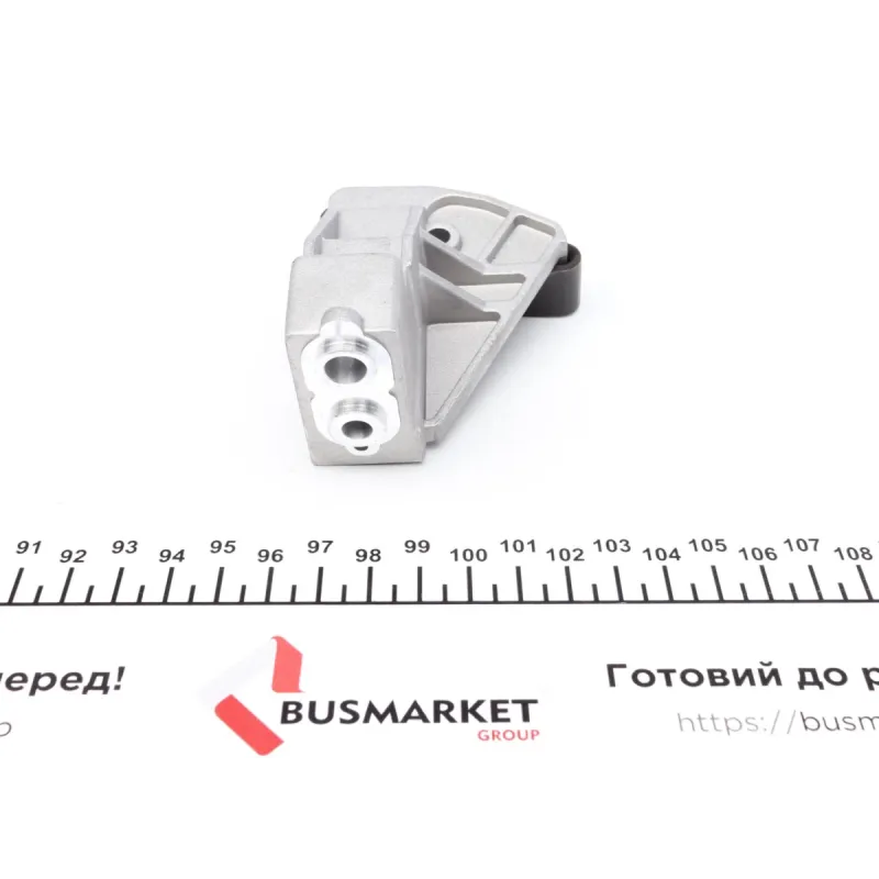 Комплект ланцюга ГРМ BMW 5 (E60/E61)/7 (E65/E66/E67)/X5 (E53/E70) 3.6-4.8 01-10 (ланцюг + елементи) (N62)