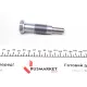 Комплект ланцюга ГРМ BMW 5 (E60/E61)/7 (E65/E66/E67)/X5 (E53/E70) 3.6-4.8 01-10 (ланцюг + елементи) (N62)