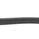 Ремінь генератора VW T5 1.9TDI/VW Caddy III 1.9/2.0TDI (+AC)