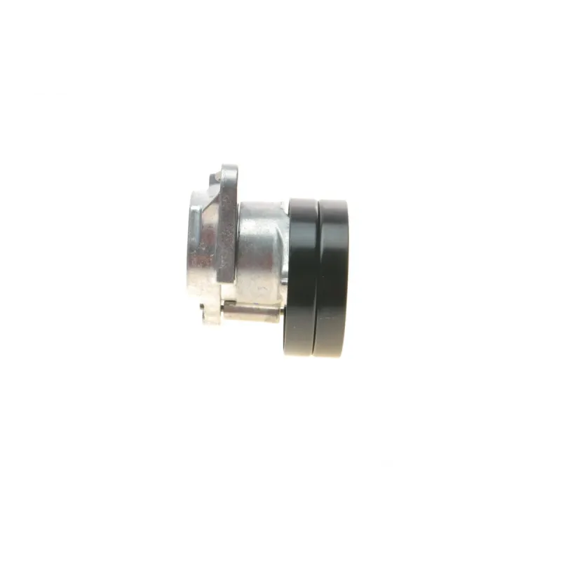 Натяжник ременя генератора MB (W211/463/R230) 01-