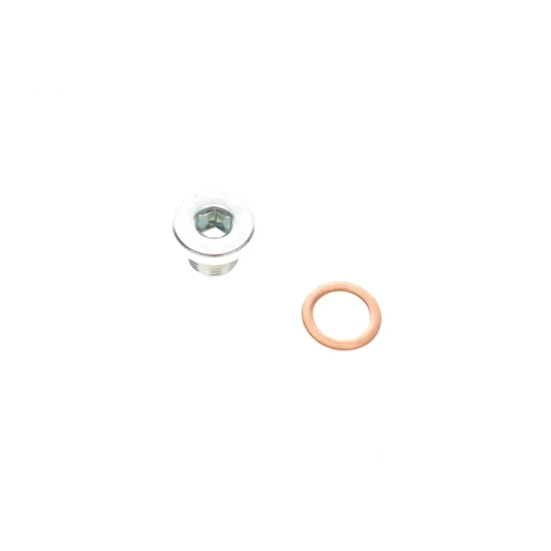 Пробка піддона картера зливна Citroen Berlingo/Fiat Ducato 98-