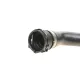 Патрубок радіатора (нижній) (R) BMW X5 (E53) 3.0i 00-06