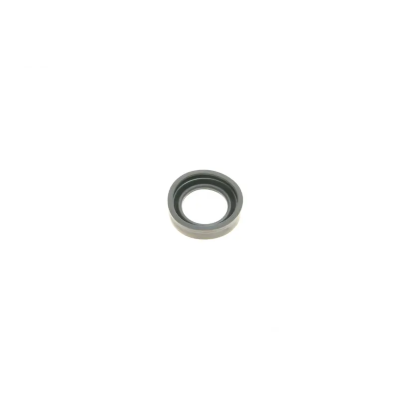 Ремкомплект супорта (заднього) Citroen ZX/Peugeot 205/206/306 86- (d=30mm) (+поршень) (Bendix)