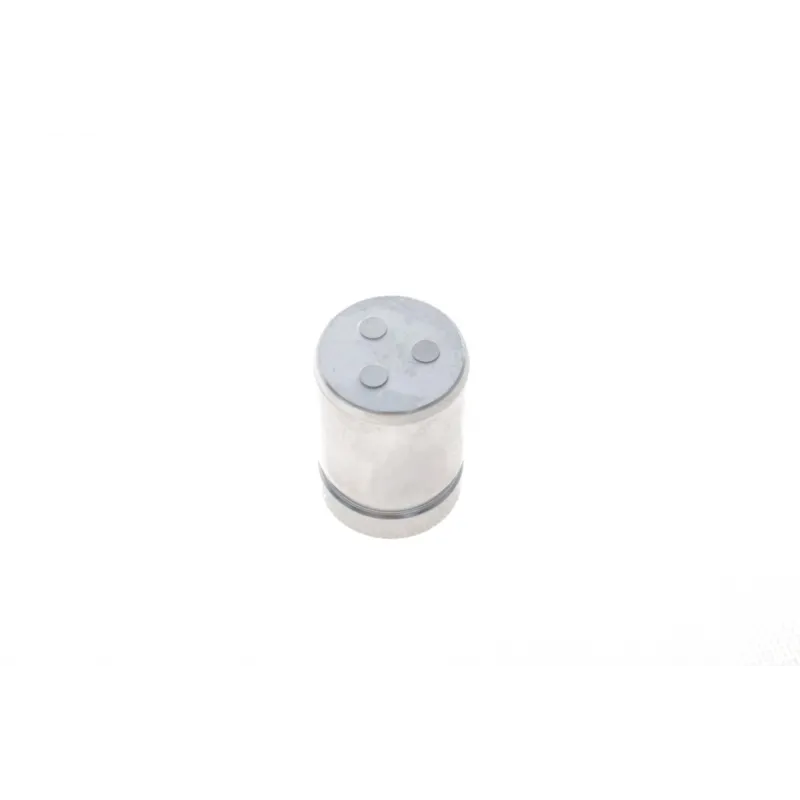 Ремкомплект заднього супорта FRENKIT 232906 з поршнем для Toyota Rav 4 II, Yaris Verso, Chery J11 (d=32mm)