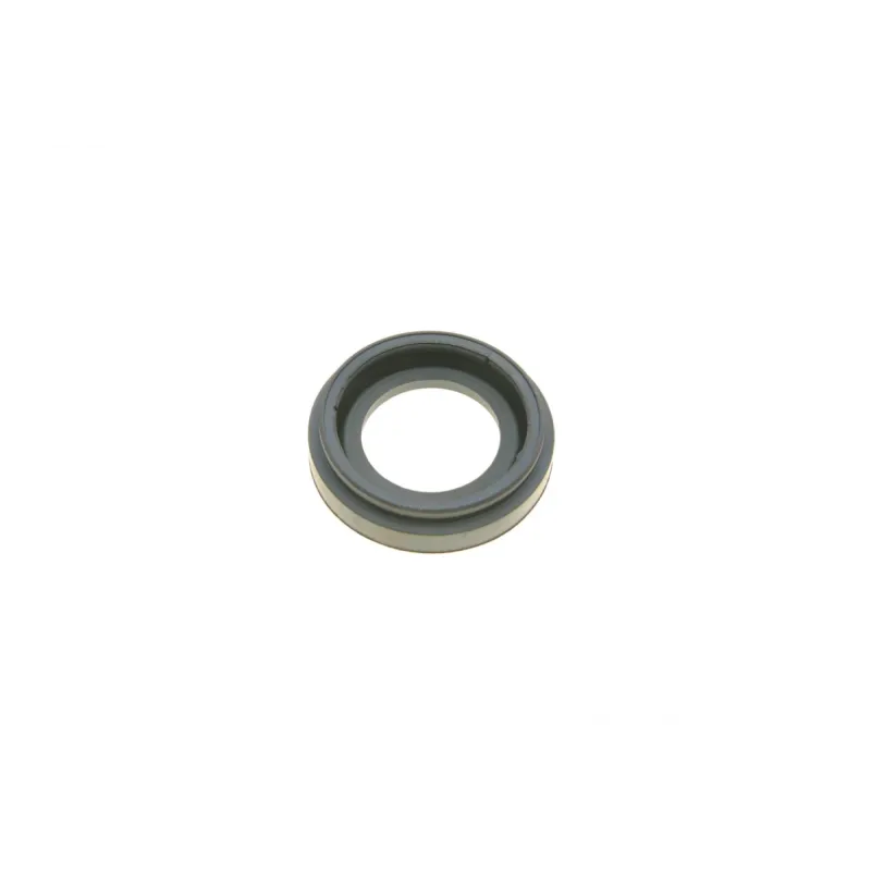 Ремкомплект супорта (заднього) Renault Clio 05- (d=34mm) (Trw) (+поршень)