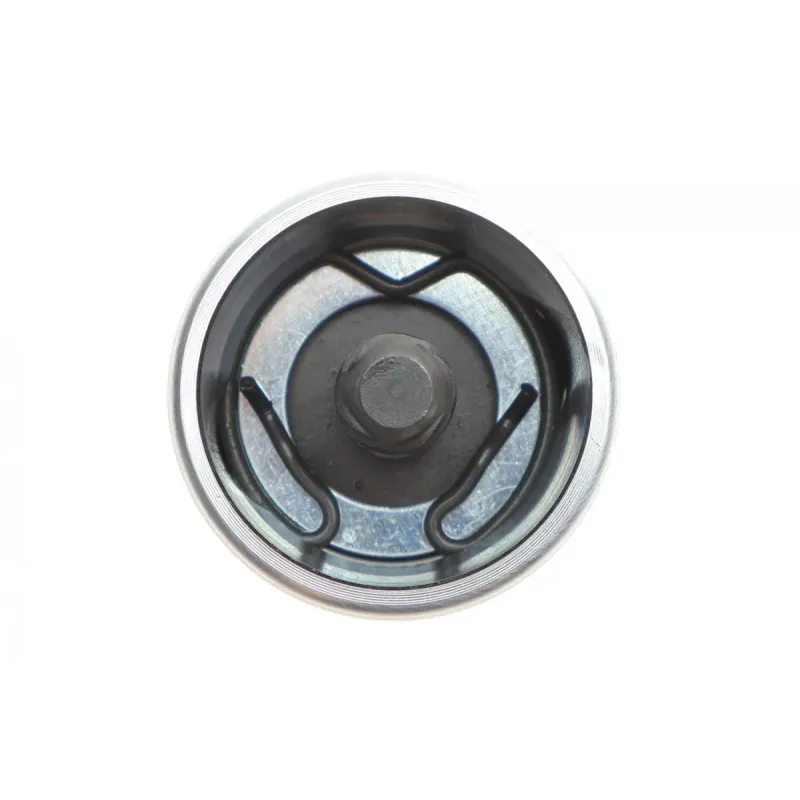 Ремкомплект заднього супорта FRENKIT 236928 з поршнем для Opel Astra G/Zafira 1998-2009 (d=36mm)