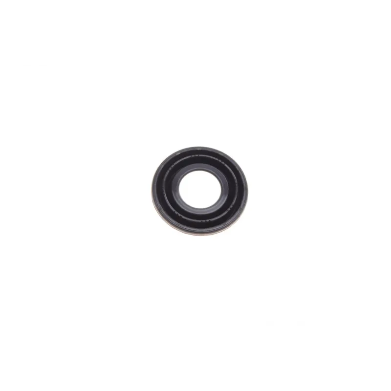 Ремкомплект супорта (заднього) Fiat Stilo 03-08 (d=38mm) (Bosch) (+поршень)
