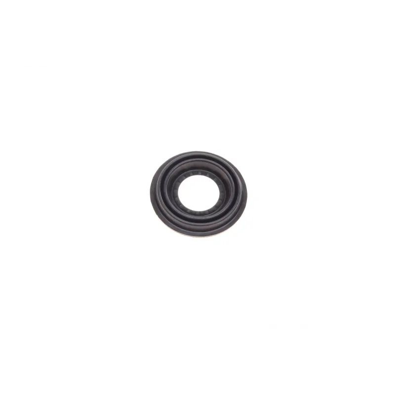 Ремкомплект супорта (заднього) Fiat Stilo 03-08 (d=38mm) (Bosch) (+поршень)