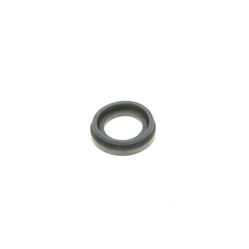 Ремкомплект супорта (заднього) Lexus GS 06-11 (d=38mm) (+ поршень) (Advi)