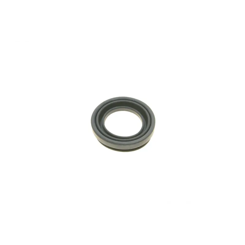 Ремкомплект супорта (заднього) Lexus GS 06-11 (d=38mm) (+ поршень) (Advi)