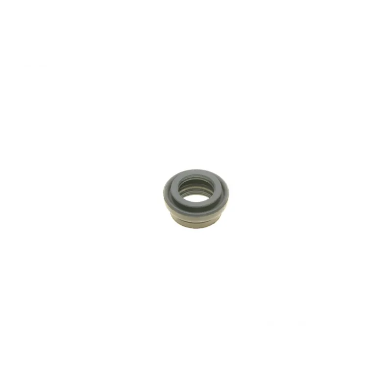Ремкомплект супорта (заднього) Lexus GS 06-11 (d=38mm) (+ поршень) (Advi)