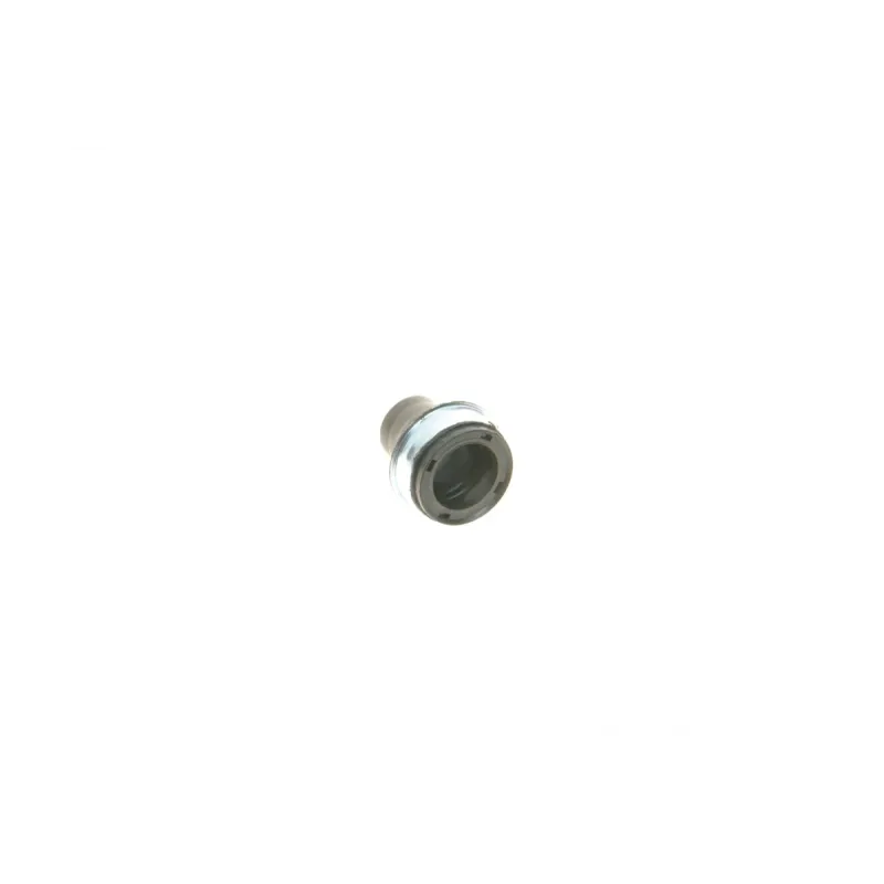 Ремкомплект супорта (заднього) Opel Astra G/Zafira 98-05 (d=38mm) (Bosch) (+поршень)