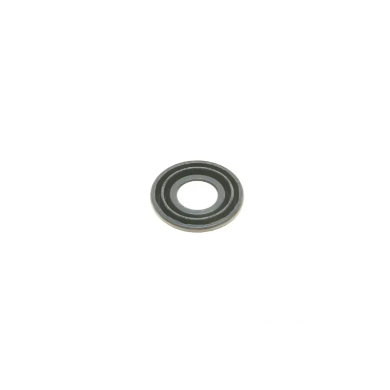 Ремкомплект супорта (заднього) Opel Astra G/Zafira 98-05 (d=38mm) (Bosch) (+поршень)