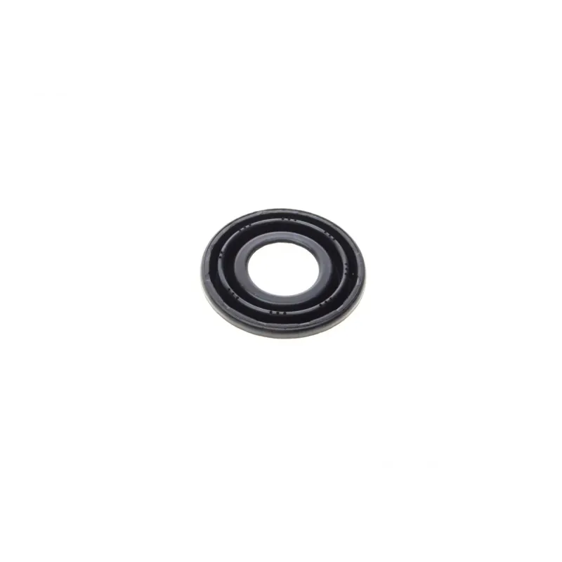 Ремкомплект супорта (заднього) Renault Kangoo 97- (d=38mm) (+поршень) (Bosch)