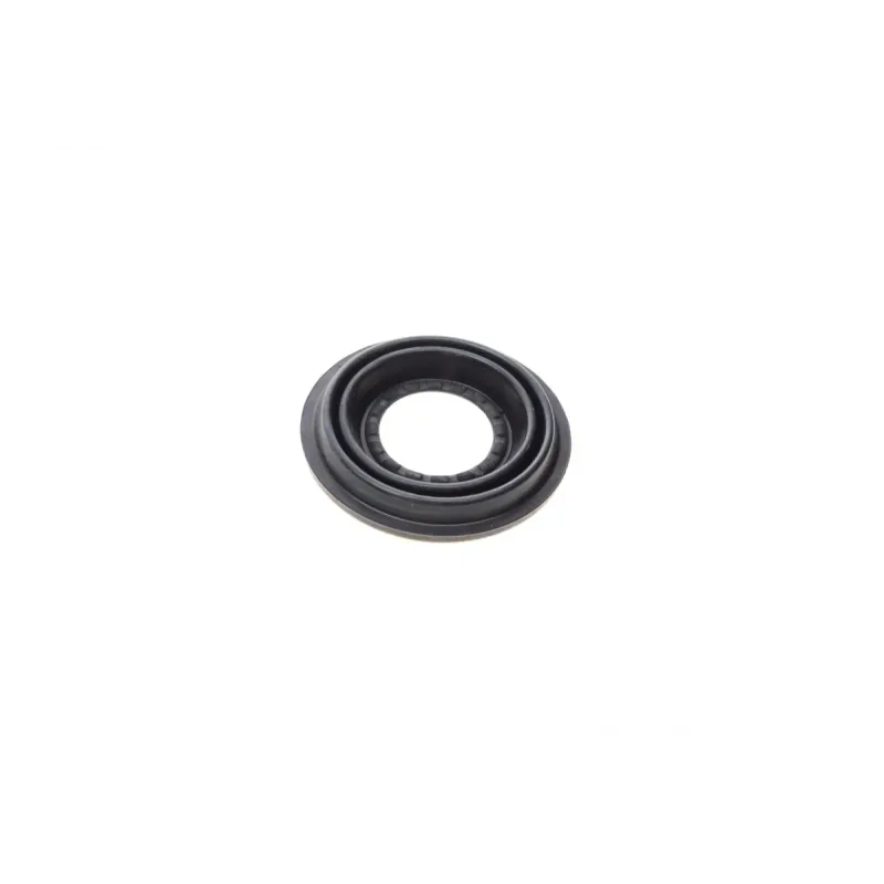 Ремкомплект супорта (заднього) Renault Kangoo 97- (d=38mm) (+поршень) (Bosch)