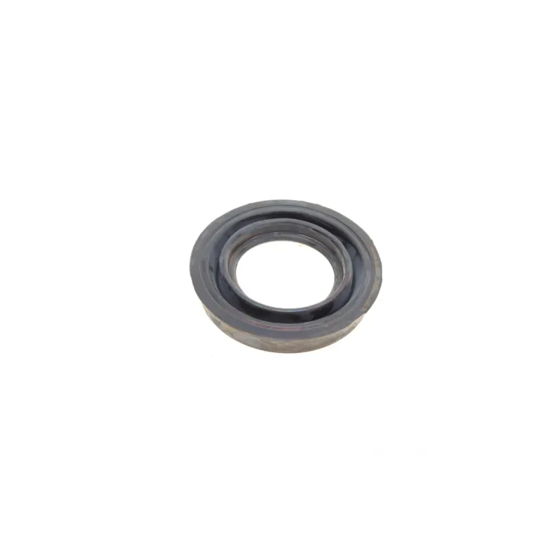 Ремкомплект супорта (заднього) Chrysler Votager 95-08 (d=42mm) (Ate)