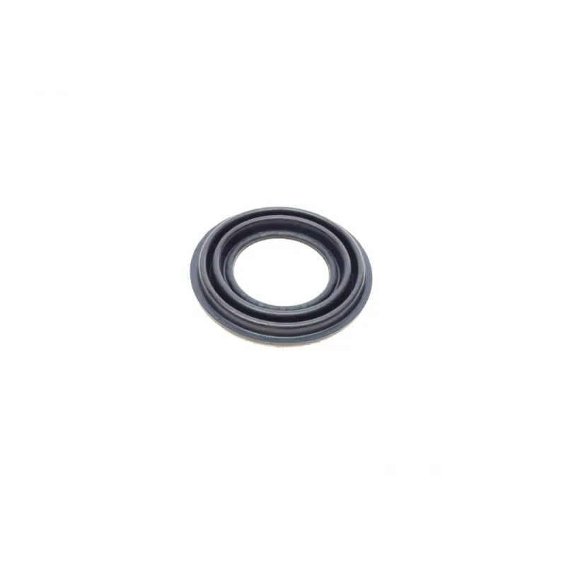 Ремкомплект супорта (заднього) Geely Boyue 16-/Atlas 17- (d=42mm) (Bosch)