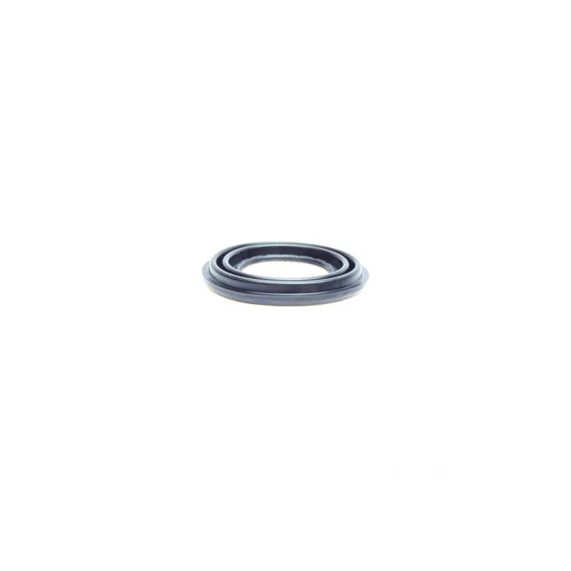 Ремкомплект заднього супорта FRENKIT 242913 (d=42mm) з поршнем для Renault Master II, Opel Movano, Nissan Interstar