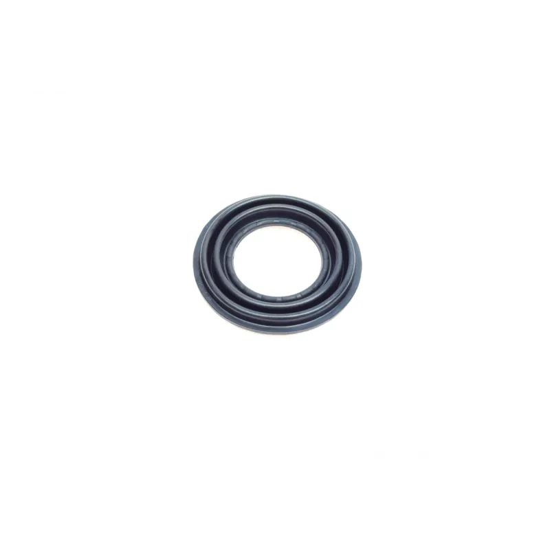 Ремкомплект заднього супорта FRENKIT 242913 (d=42mm) з поршнем для Renault Master II, Opel Movano, Nissan Interstar