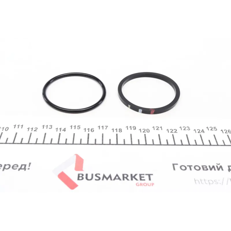 Ремкомплект супорта (заднього) BMW 5 (F10/F11)/6 (F12/F13) 10- (d=44mm) (+поршень) (TRW)