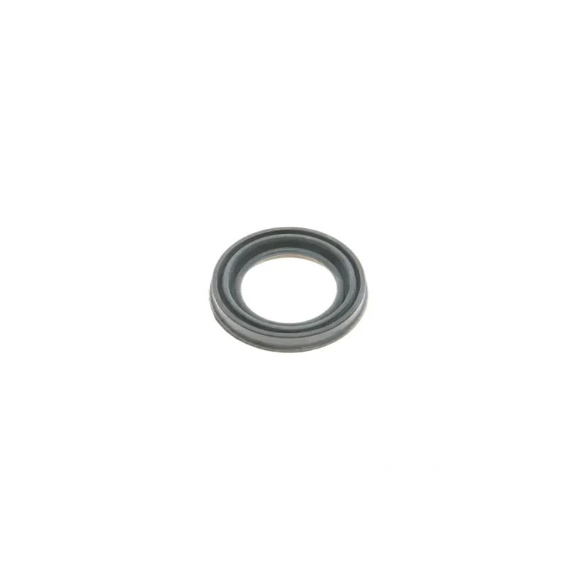 Ремкомплект супорта (переднього/заднього)) VW Golf 93-98 (d=48mm) (Ate/K/H)